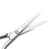 imageLIVINGO Premium Curved and Rounded Nose Hair Scissors for Men 2 PC Set Nail Cuticle Manicure Scissors Shears Kit for BeardMustache Ear Facial Hair Eyebrows Eyelashes for WomenS  Nose Straight Scissors
